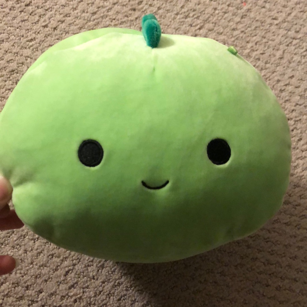 Toy